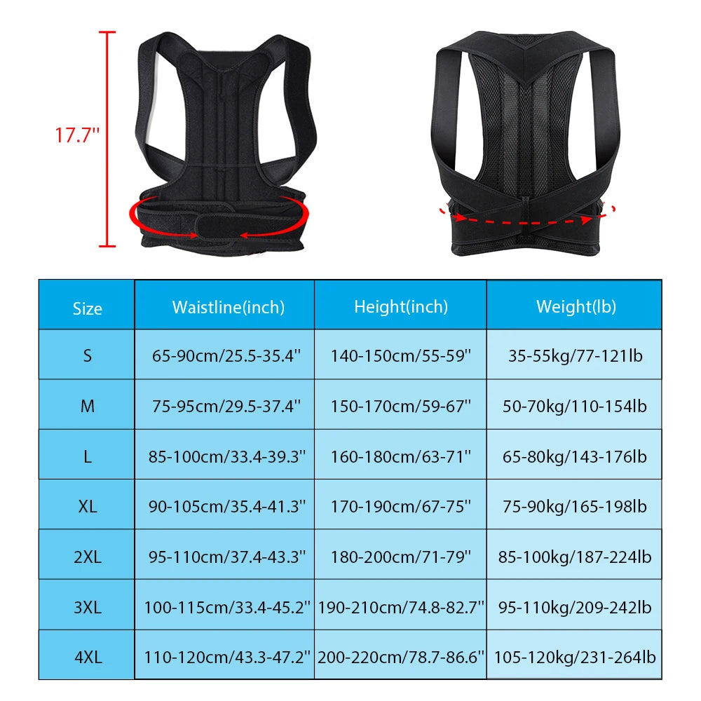 PostureForge Pro — Spine Alignment Harness